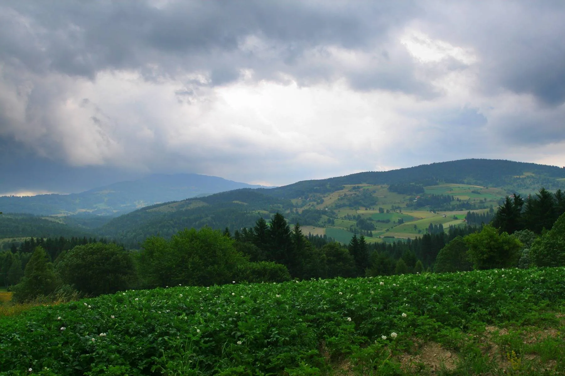 Nekretnine na Goliji i planinski pejzaž u području Odvraćenice